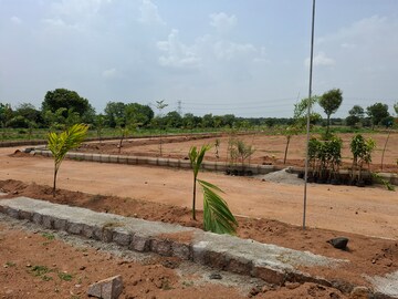 Plot Area in  Plot at Shadnagar – for Sale