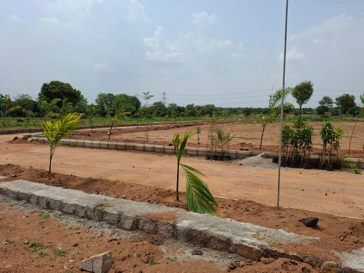 undefined, shadnagar  150 Sq.Yd. Plot In Shadnagar Hyderabad 8917051