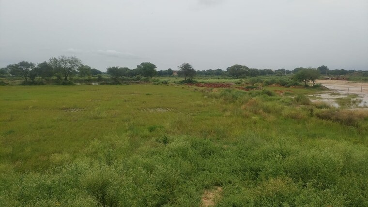 undefined, badli  1 Acre Plot In Badli  Jhajjar 8917094