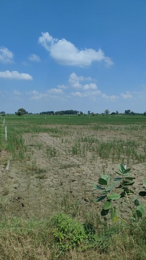 Plot Area in  Plot at Badli  – for Sale