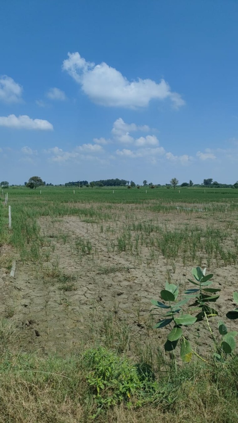 undefined, badli  1 Acre Plot In Badli  Jhajjar 8917094