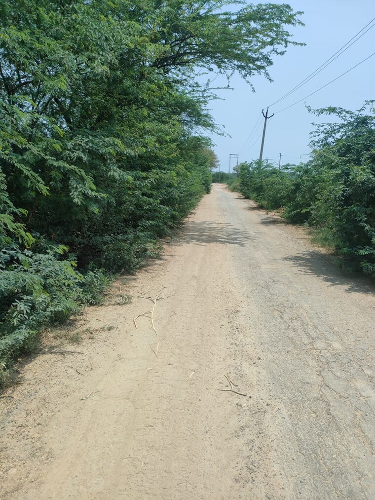 Exterior View, badli  1 Acre Plot In Badli  Jhajjar 8917094