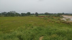  Plot For Sale in Badli 