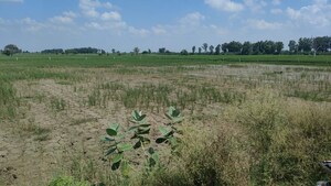 Plot Area in  Plot at Badli  – for Sale