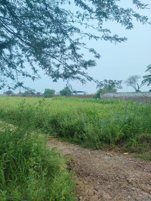 Plot Area in  Plot at Badli  – for Sale