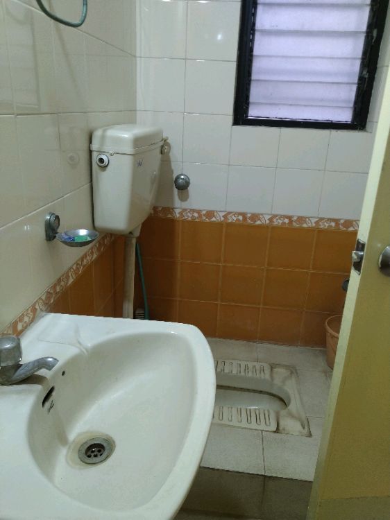 3 BHK Apartment For Rent in Pinnac Gangotri