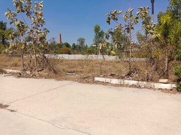 Plot Area in  Land at Hosur Krishnagiri rd – for Sale