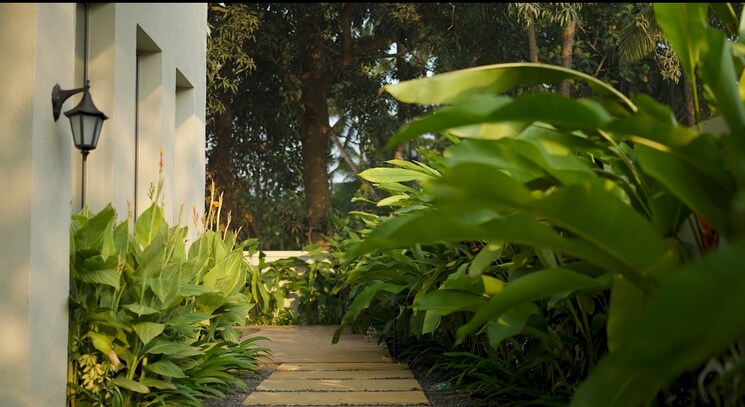 Garden, morjim 3 Bedroom 3210 Sq.Ft. Villa In Morjim Goa 8917291