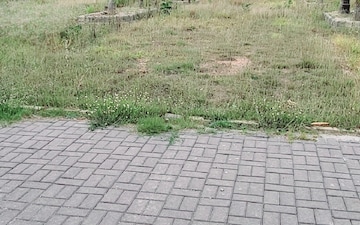 Plot For Sale in Buddha Marg