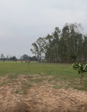 Plot Area in  Plot at Dhankot – for Sale