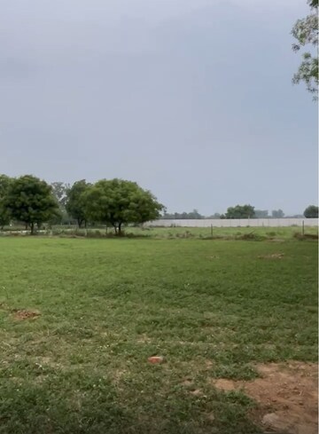 Plot Area in  Plot at Dhankot – for Sale