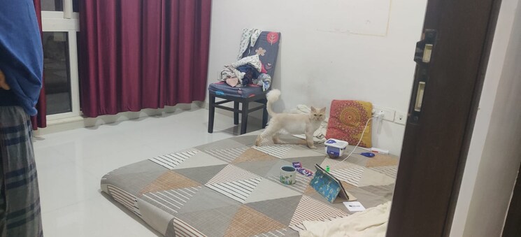 Living Room, ami-jharna 1 Bedroom 550 Sq.Ft. Apartment In Goregaon East Mumbai 8917420