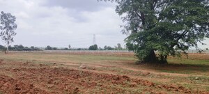 Plot Area in  Plot at Shamshabad Road – for Sale