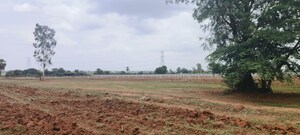 Plot Area in  Plot at Shamshabad Road – for Sale