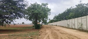 Plot Area in  Plot at Shamshabad Road – for Sale