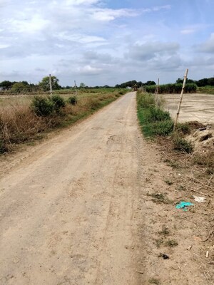  Plot For Sale in Babatpur