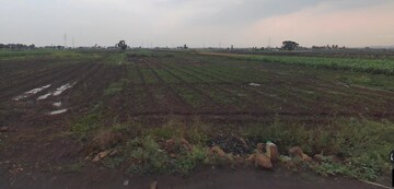  Plot For Rent in Sangli Miraj Road