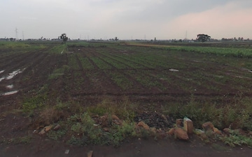 Plot For Rent in Sangli Miraj Road
