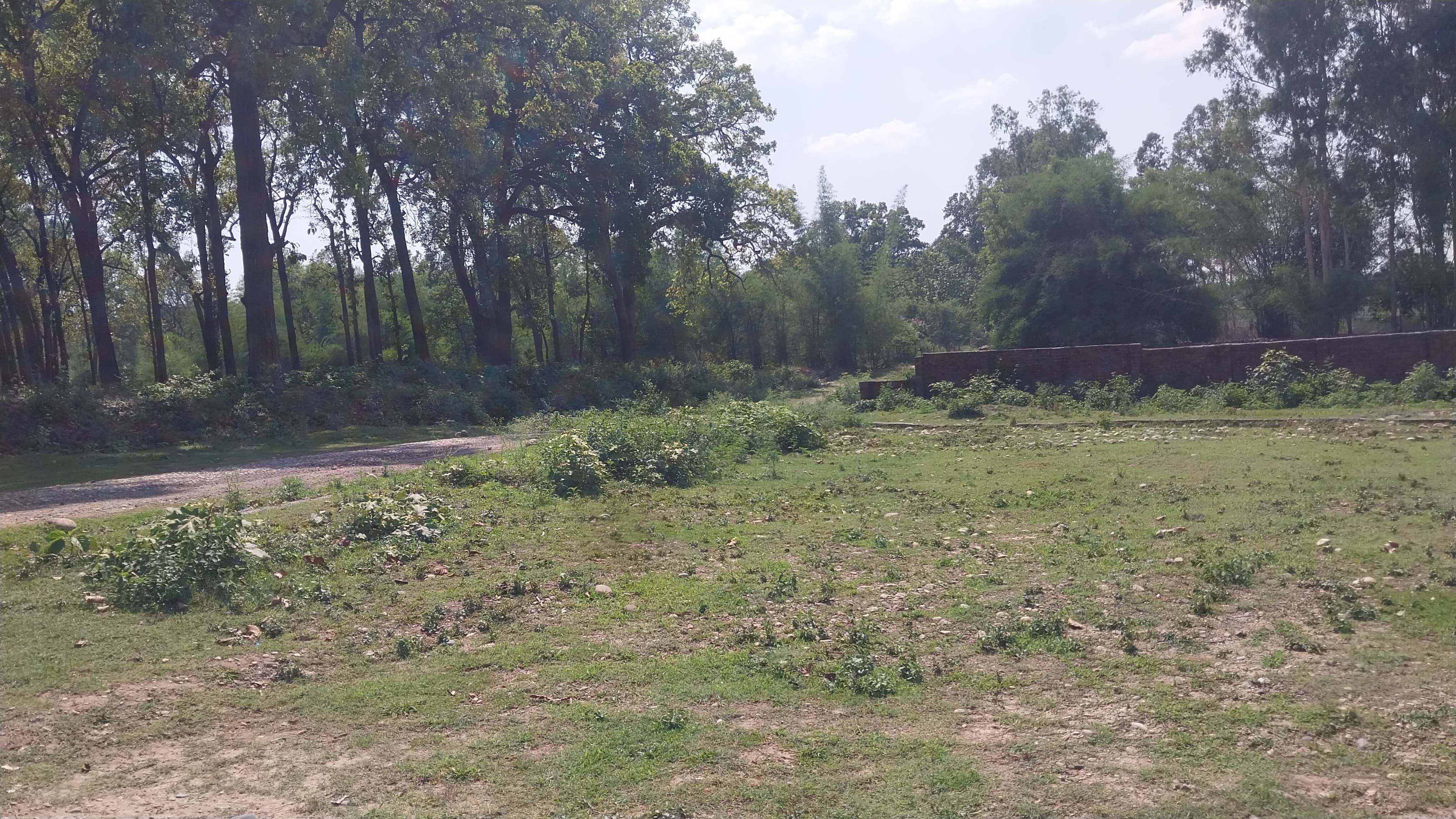 Plot For Sale in Shimla By Pass