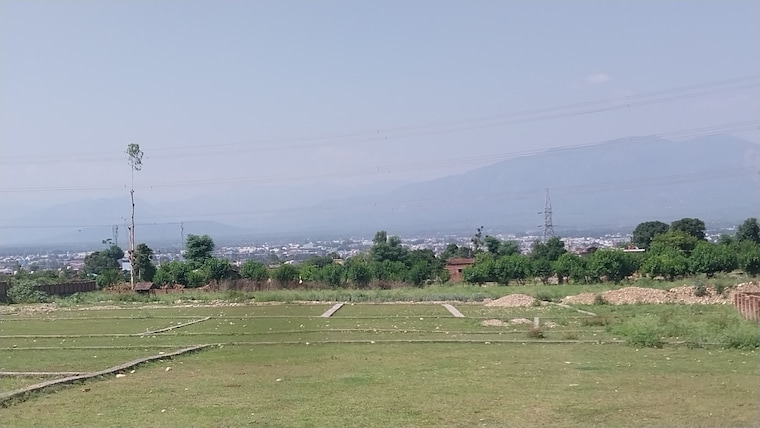 undefined, sherpur  250 Sq.Yd. Plot In Sherpur Dehradun 8917740