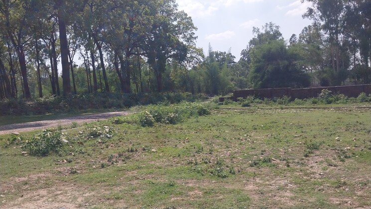 undefined, sherpur  250 Sq.Yd. Plot In Sherpur Dehradun 8917740