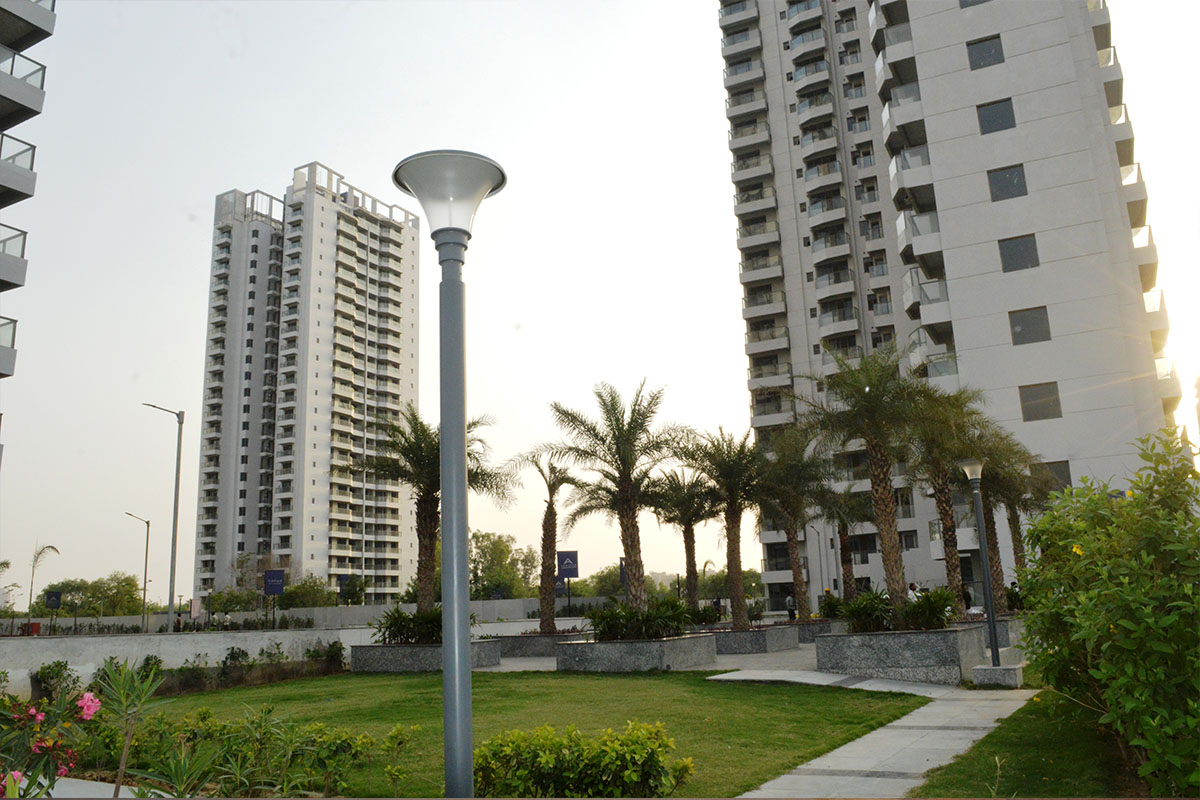 2 BHK Apartment For Rent in Shapoorji Pallonji Joyville Gurgaon