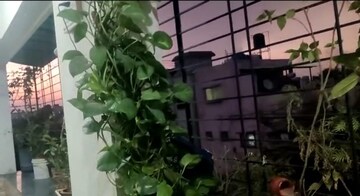 1 BHK Apartment – Exterior View View at Sai Krupa Residency Lohegaon, Lohgaon - for Rent