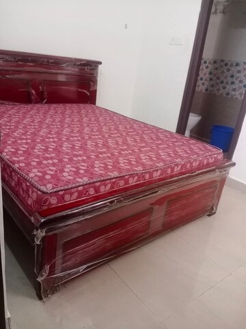 1 BHK Builder Floor For Rent in Begumpet