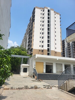 3 BHK Apartment For Sale in S3 Green Avenue, Sector 85