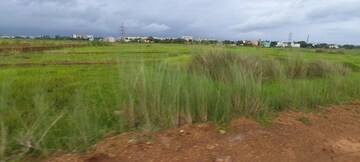 Plot Area in  Plot at Patrapada – for Sale