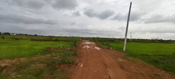 Plot Area in  Plot at Patrapada – for Sale