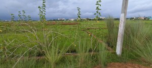 Plot Area in  Plot at Patrapada – for Sale