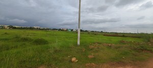 Plot Area in  Plot at Patrapada – for Sale