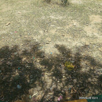 Plot Area in  Plot at Vishal Nagar – for Sale