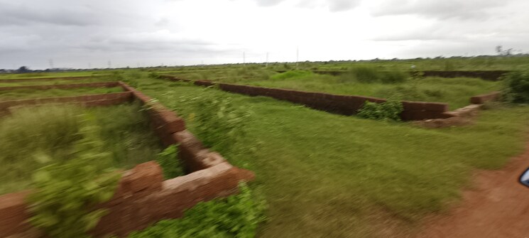 undefined, patrapada  1321 Sq.Ft. Plot In Patrapada Bhubaneswar 8918257