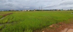 Plot Area in  Plot at Patrapada – for Sale
