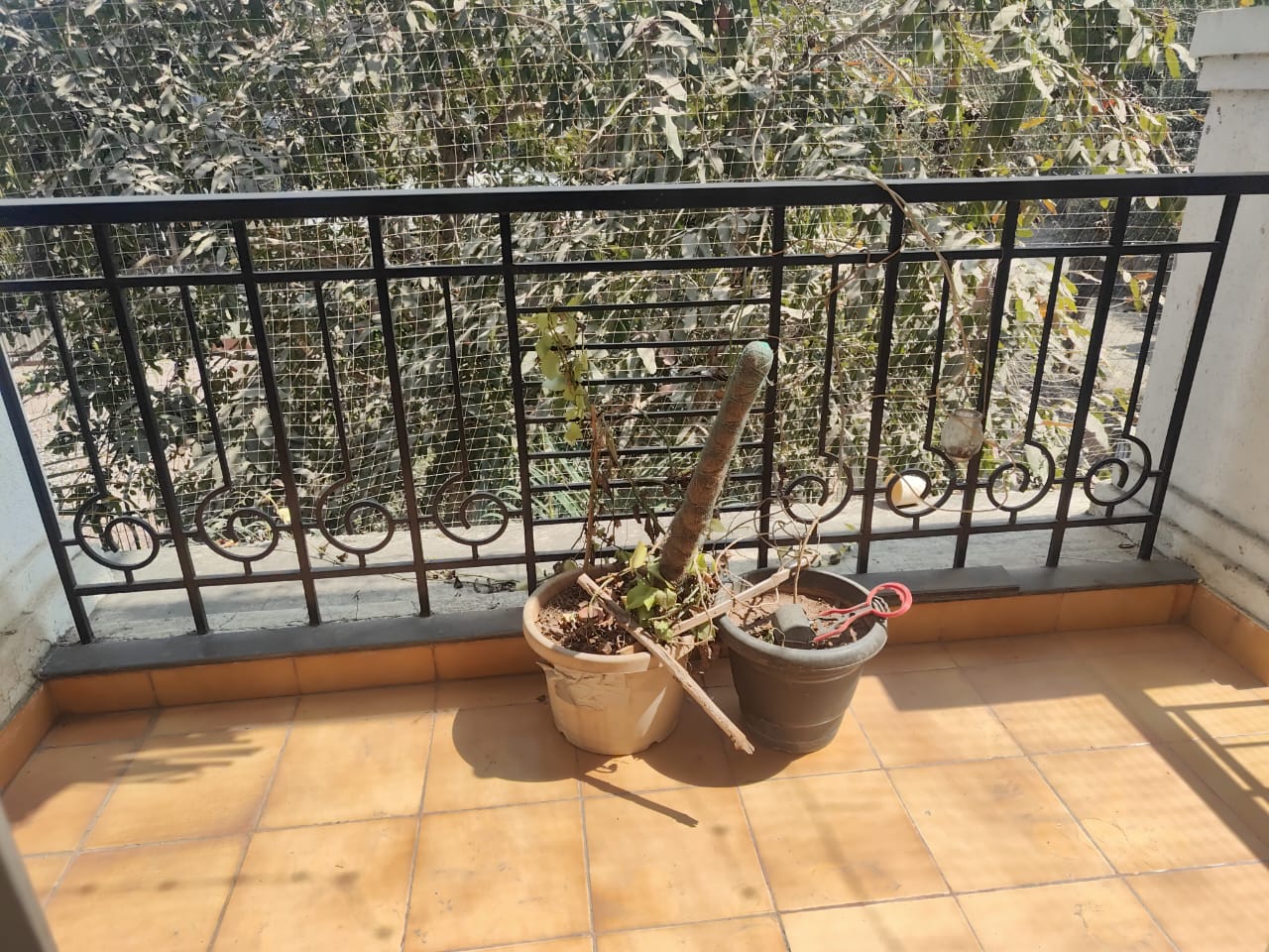 2 BHK Apartment For Rent in Nyati Environ