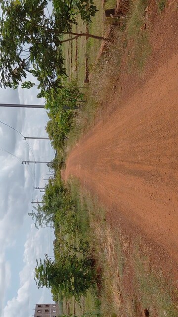  Plot For Sale in Ranga Bazar