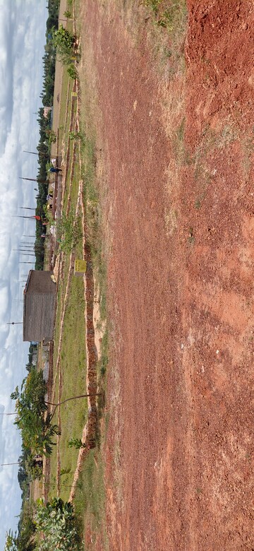 Plot Area in  Plot at Ranga Bazar – for Sale