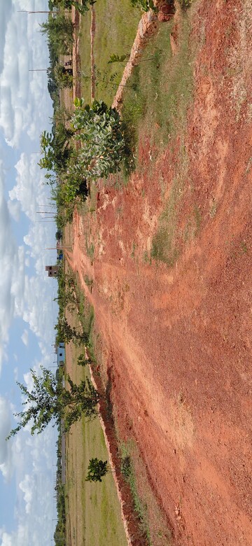 Plot Area in  Plot at Ranga Bazar – for Sale