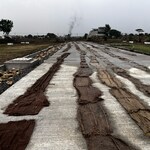 1291 Sq.Ft. Plot in  Mahalaxmi Nagar 42