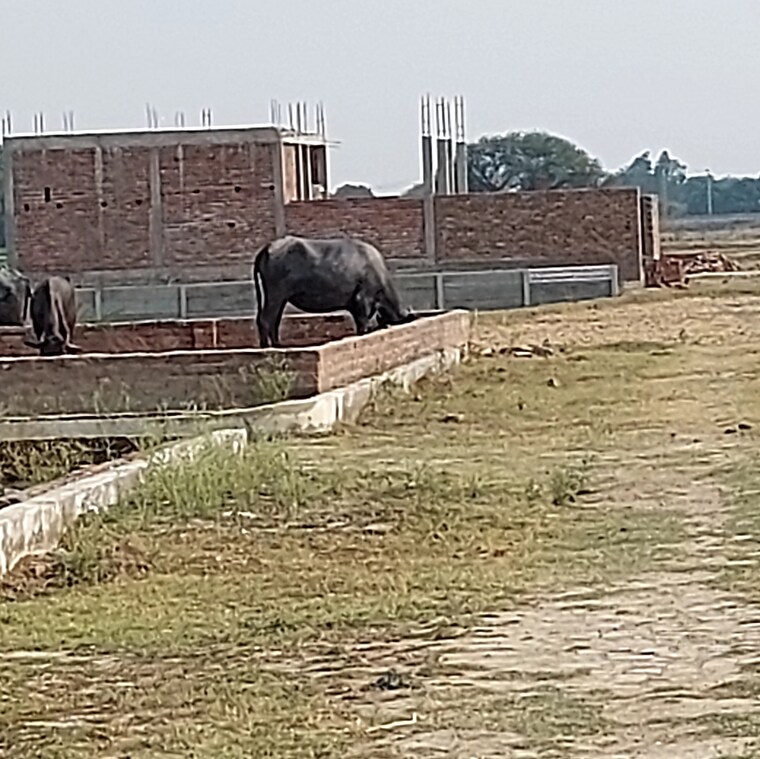 Exterior View, raebareli road  2000 Sq.Ft. Plot In Raebareli Road Lucknow 8919228