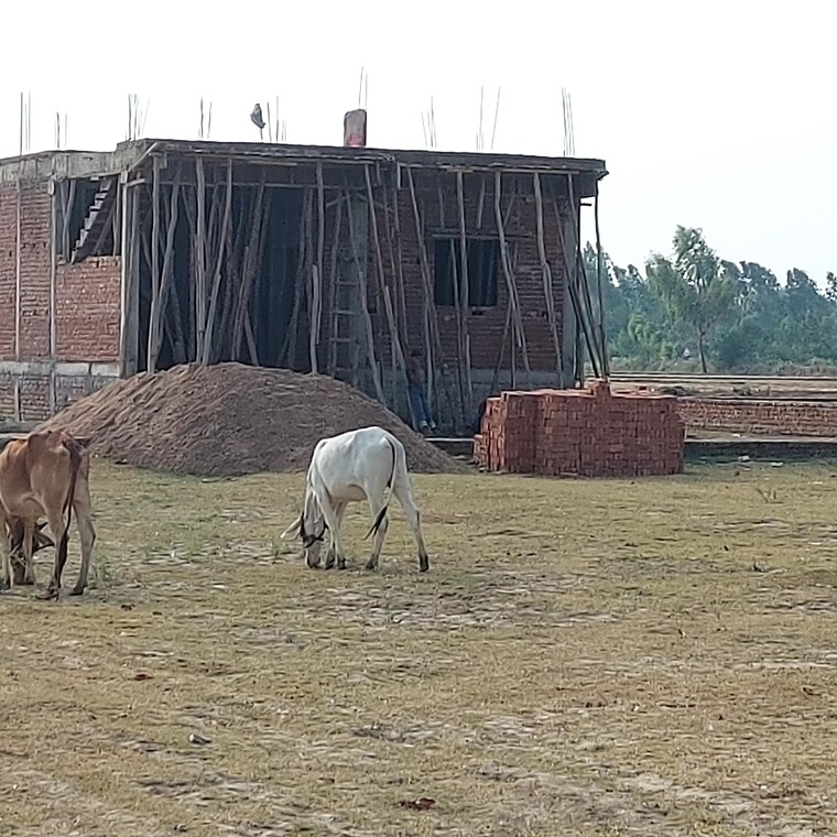 undefined, raebareli road  2000 Sq.Ft. Plot In Raebareli Road Lucknow 8919228