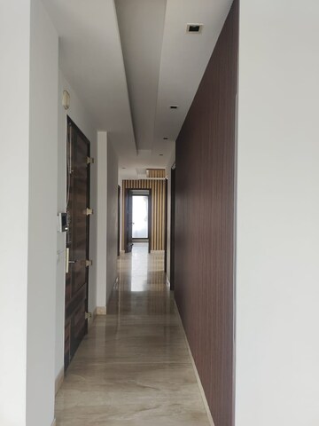 3 BHK Builder Floor For Sale in Greater Kailash ii