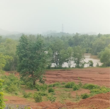  Plot For Sale in Axis Yog Villas, Dodamarg