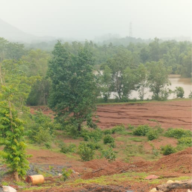 undefined, axis-yog-villas  300 Sq.Mt. Plot In Dodamarg Goa 8919472