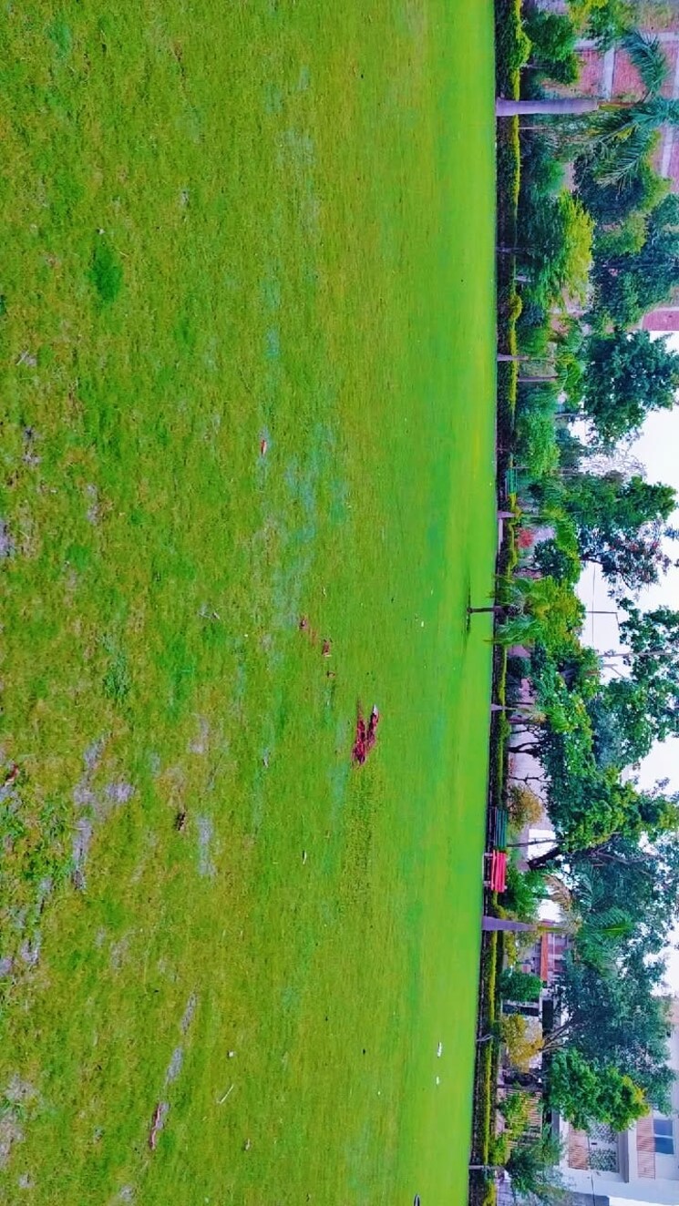 Garden, zestha-bhagirath-vihar-residency  200 Sq.Yd. Plot In Sector 27 Yamuna Expressway Greater Noida 8919555