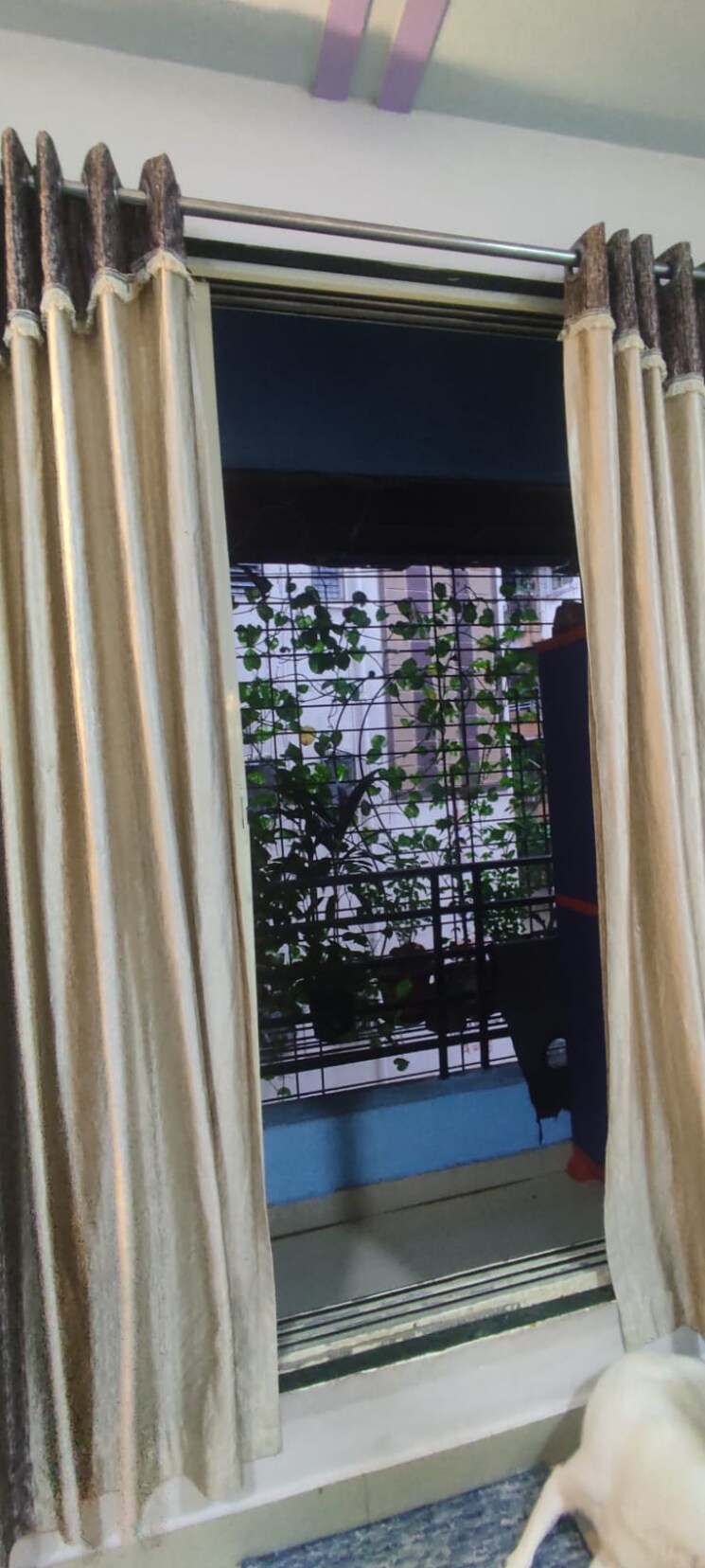 Balcony, aashapura-crown-city 1 Bedroom 579 Sq.Ft. Apartment In Kalyan East Thane 8919720