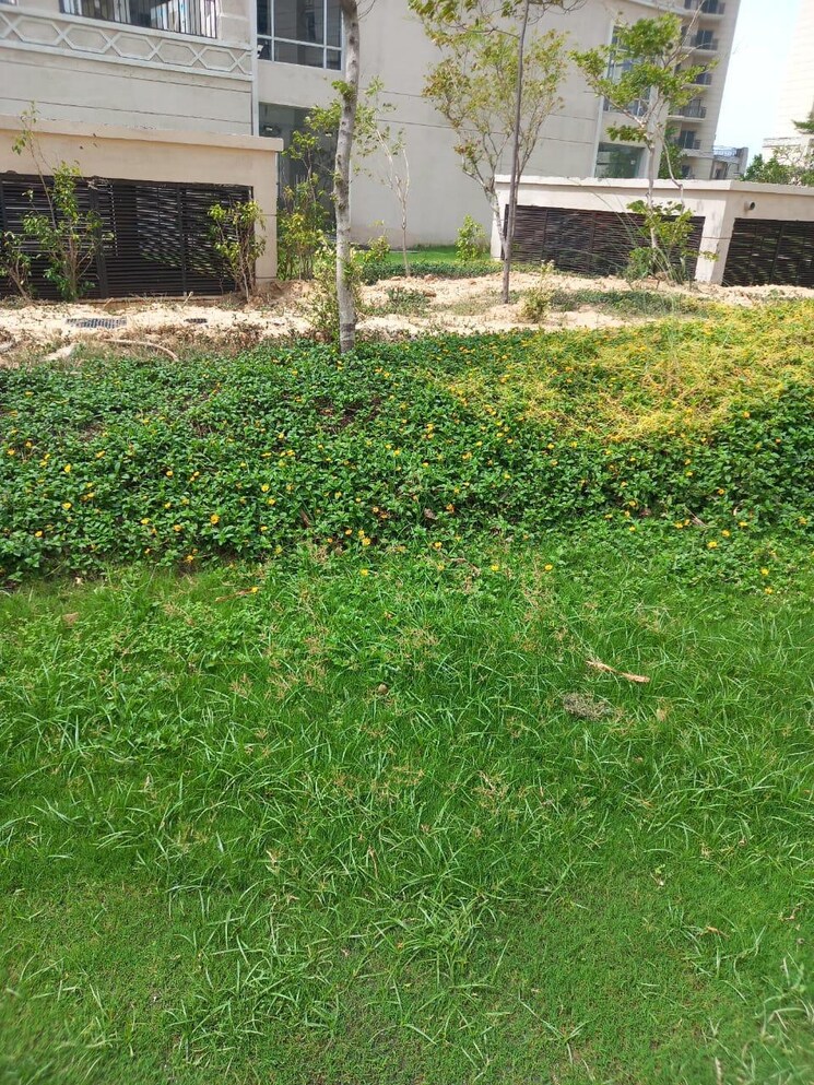 undefined, gaur-yamuna-city  105 Sq.Yd. Plot In Gaur Yamuna City Greater Noida 8919709
