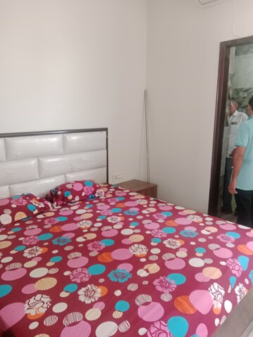 1 BHK Builder Floor For Rent in Huda